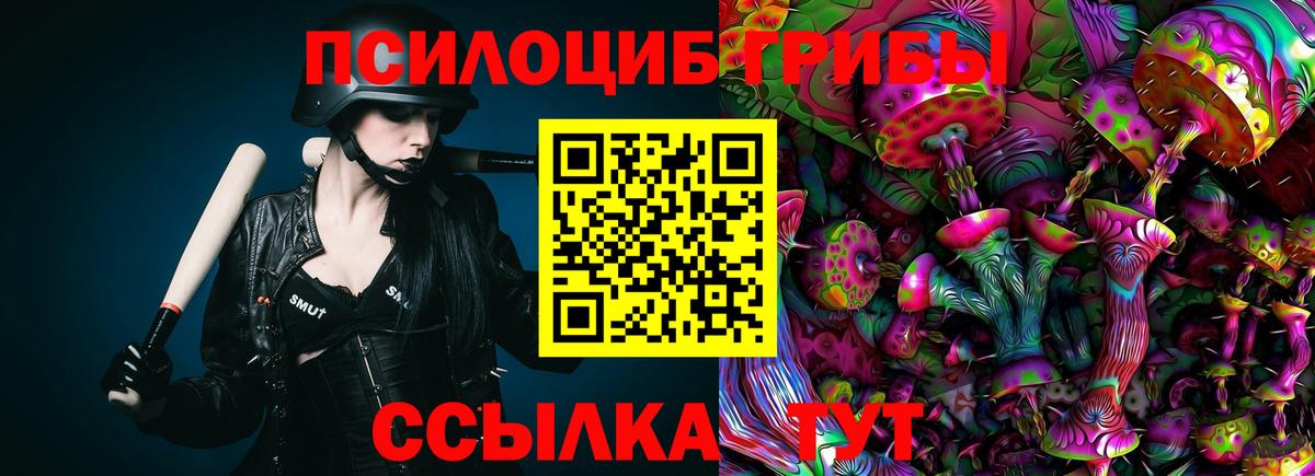 Псилоцибиновые грибы прущие грибы  Псилоцибиновые грибы Cubensis  Печора  Вход с VPN 